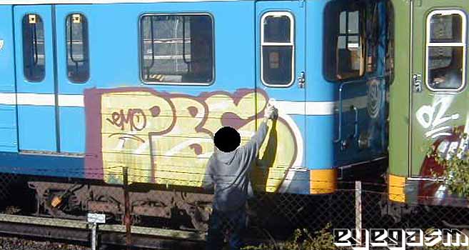 pbc03.jpg