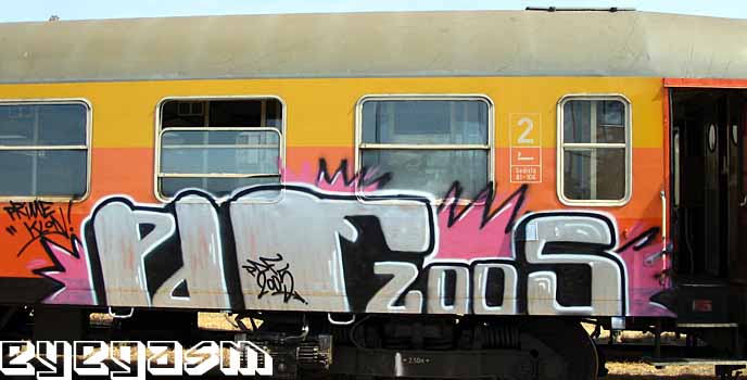pdf200501.jpg