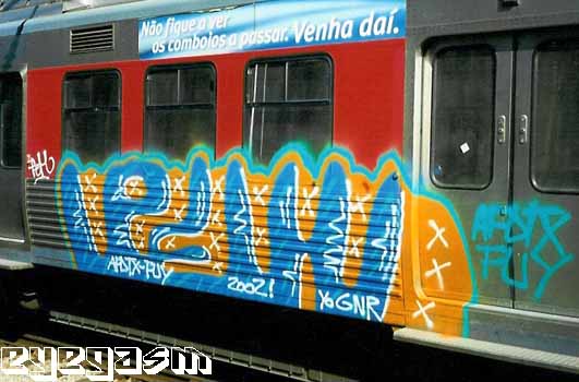 peh07.jpg