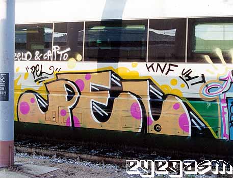 pel01.jpg