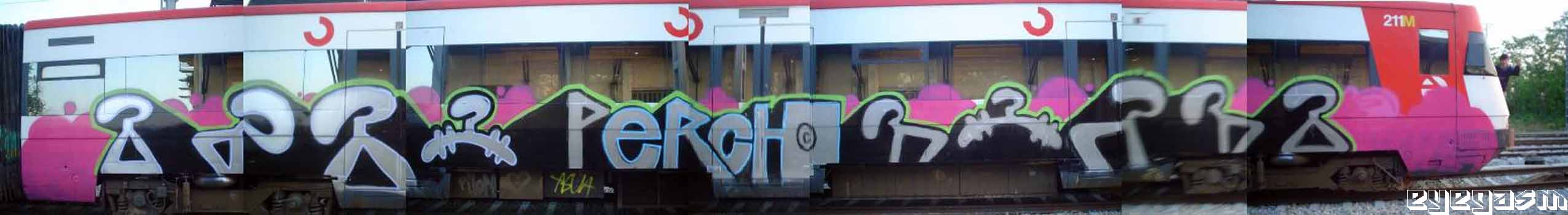 perch04.jpg