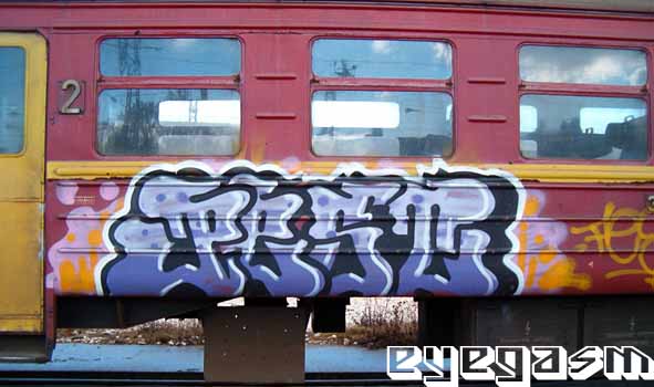 pest002.jpg