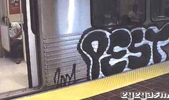 pest01.jpg