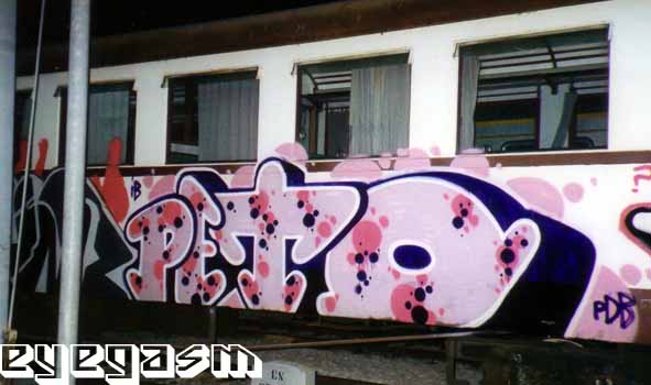 peto01.jpg