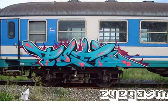 peto02.jpg