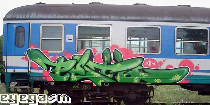 peto16.jpg