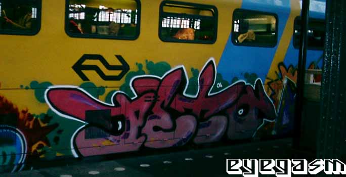 peto24.jpg