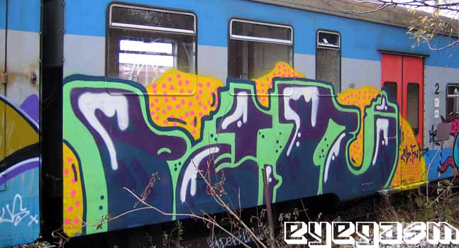 petr07.jpg