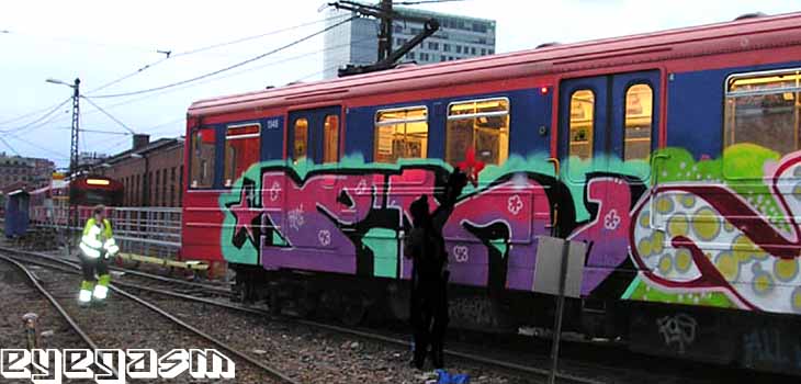 ph08.jpg