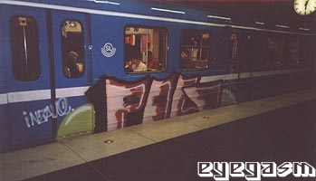 pig02.jpg