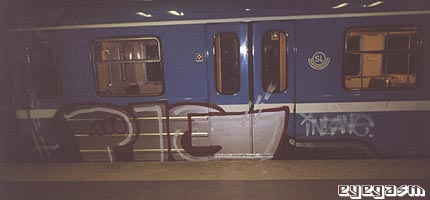 pig03.jpg