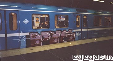 pig06.jpg