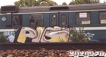 pig08.jpg