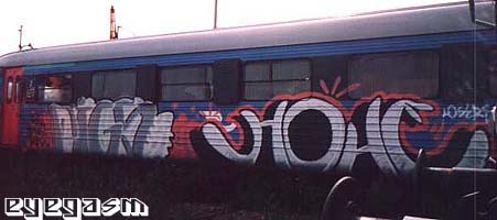pigs-hohe01.jpg