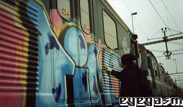 pine01.jpg