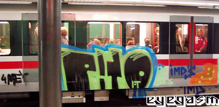 pito001.jpg