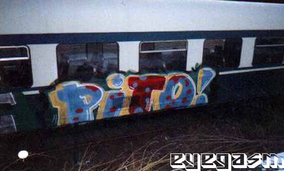pito01.jpg