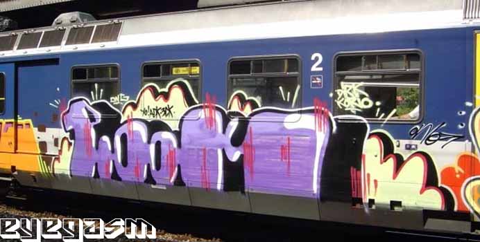 plook01.jpg