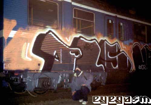 pls01.jpg