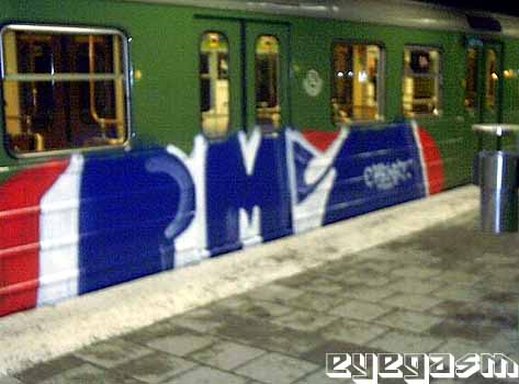 pms04.jpg
