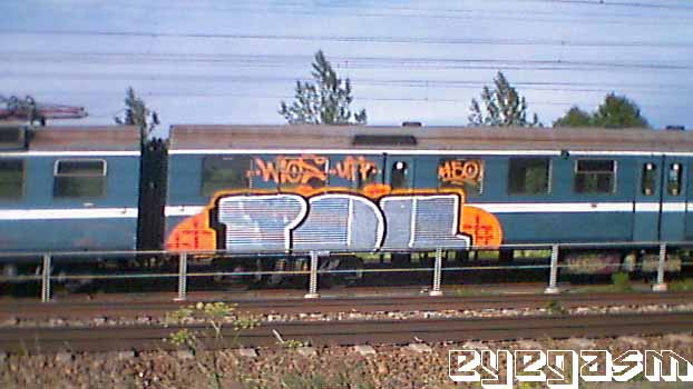 pol02.jpg