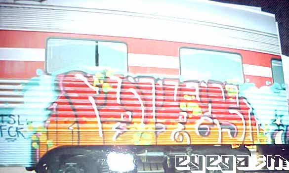 porer01.jpg