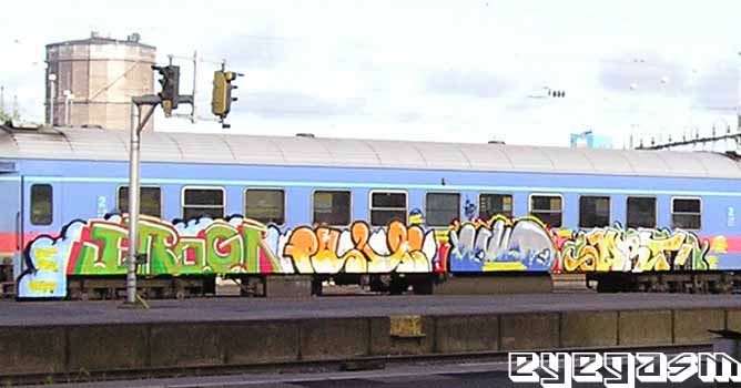 progr-pussi-yallo-drt01.jpg