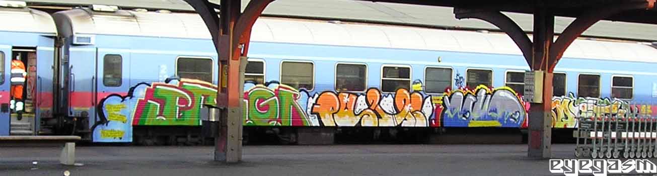progr-pussi-yallo-drt02.jpg
