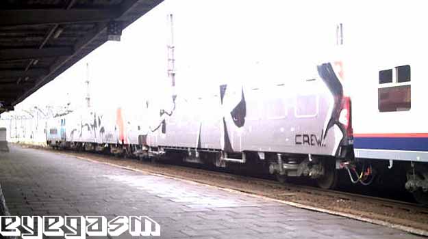 psk-wc01.jpg