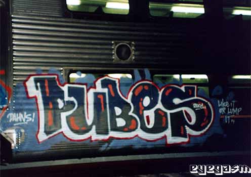 pubes03.jpg