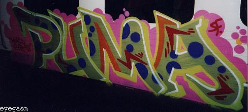 puma01.jpg