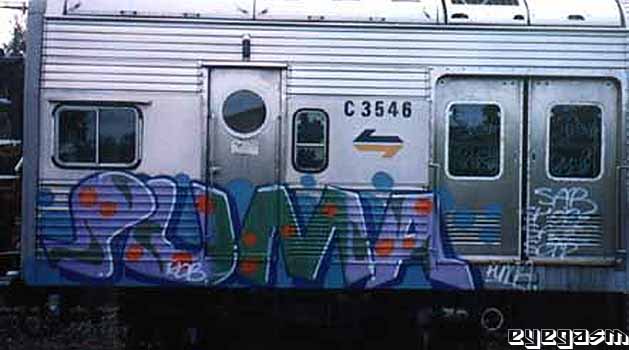 puma03.jpg