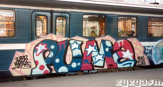puma04.jpg