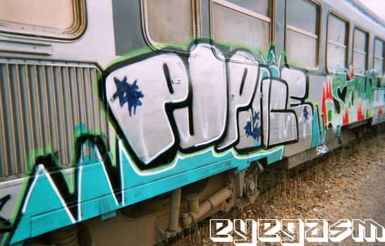 pupuce-soule01.jpg