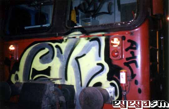pyc06.jpg