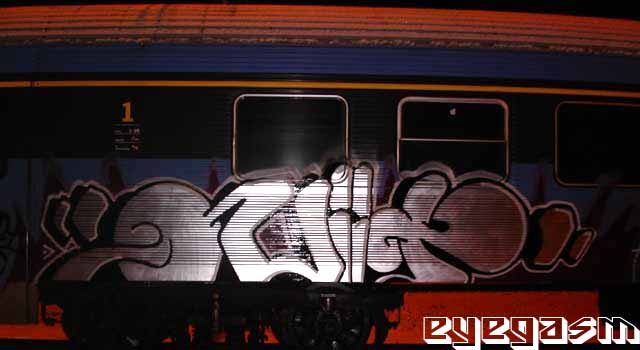 quiit01.jpg