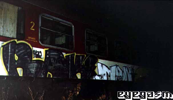 rake-mon01.jpg