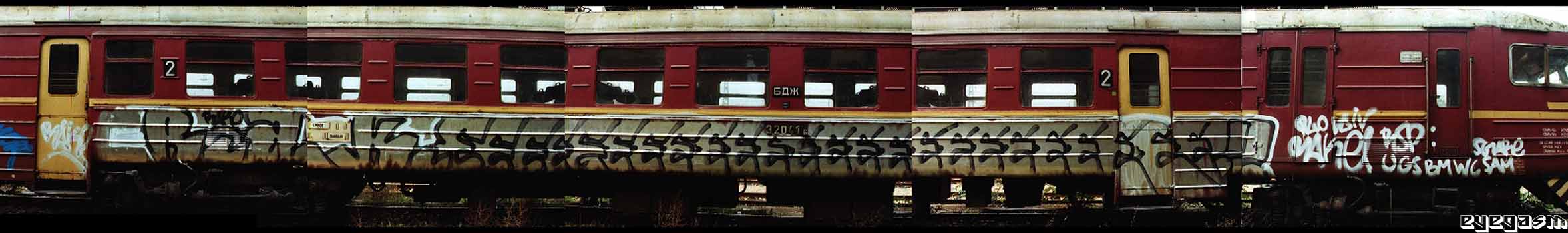 rake001.jpg