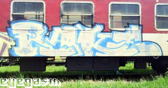 rake002.jpg