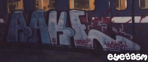 rake01.jpg