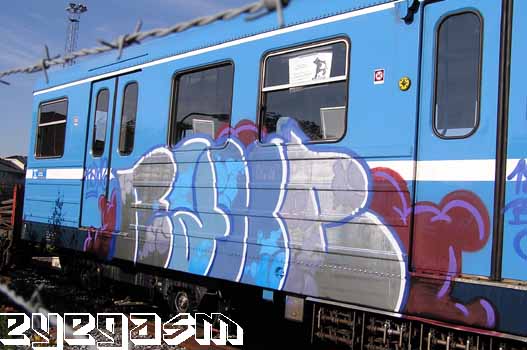rake02.jpg
