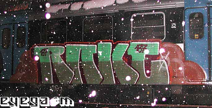 rake04.jpg