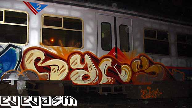raks01.jpg