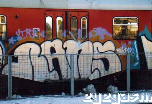 rans01.jpg