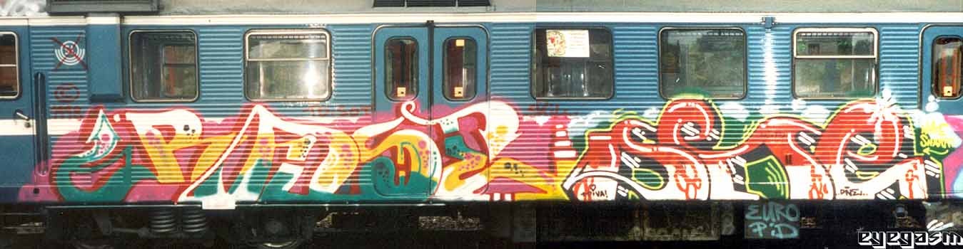 rase-dne01.jpg