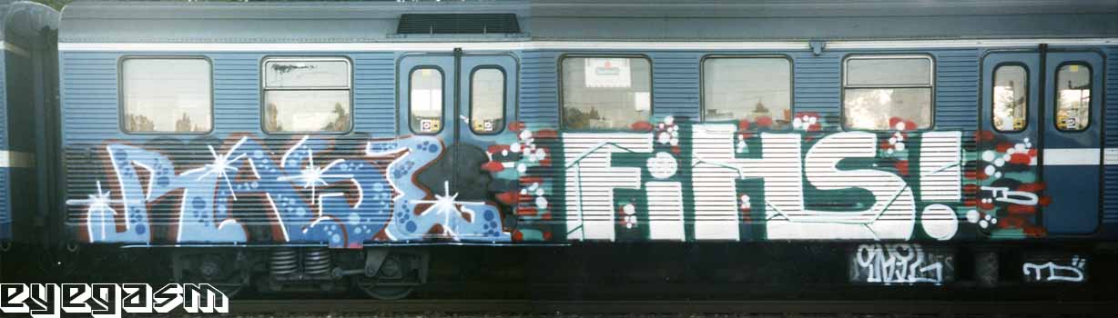 rase-fihs01.jpg
