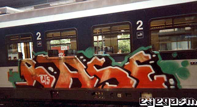 rase001.jpg