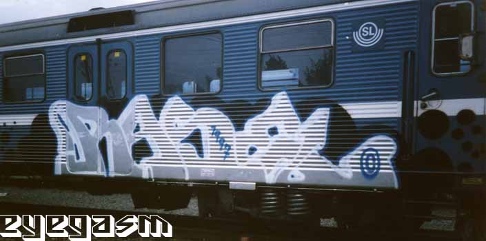 rase10.jpg
