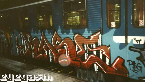 rase11.jpg