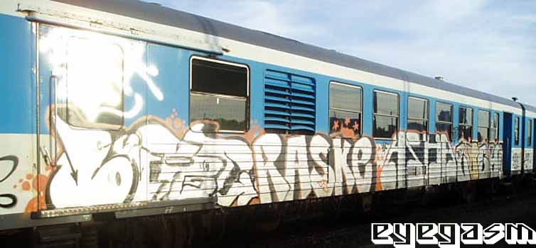 raske-asha01.jpg